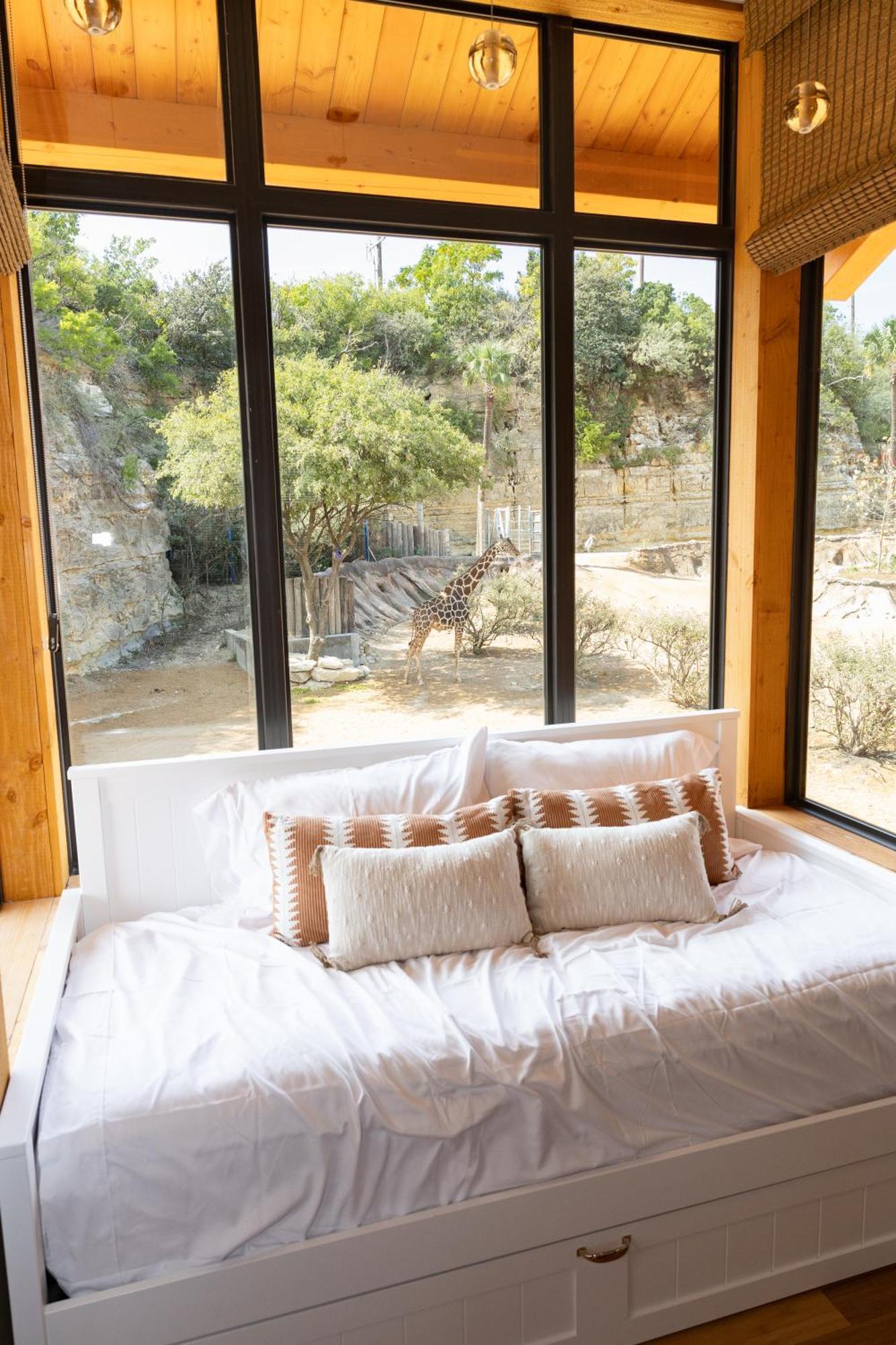 San Antonio Zoo - Spekboom Giraffe Lodge Exterior photo